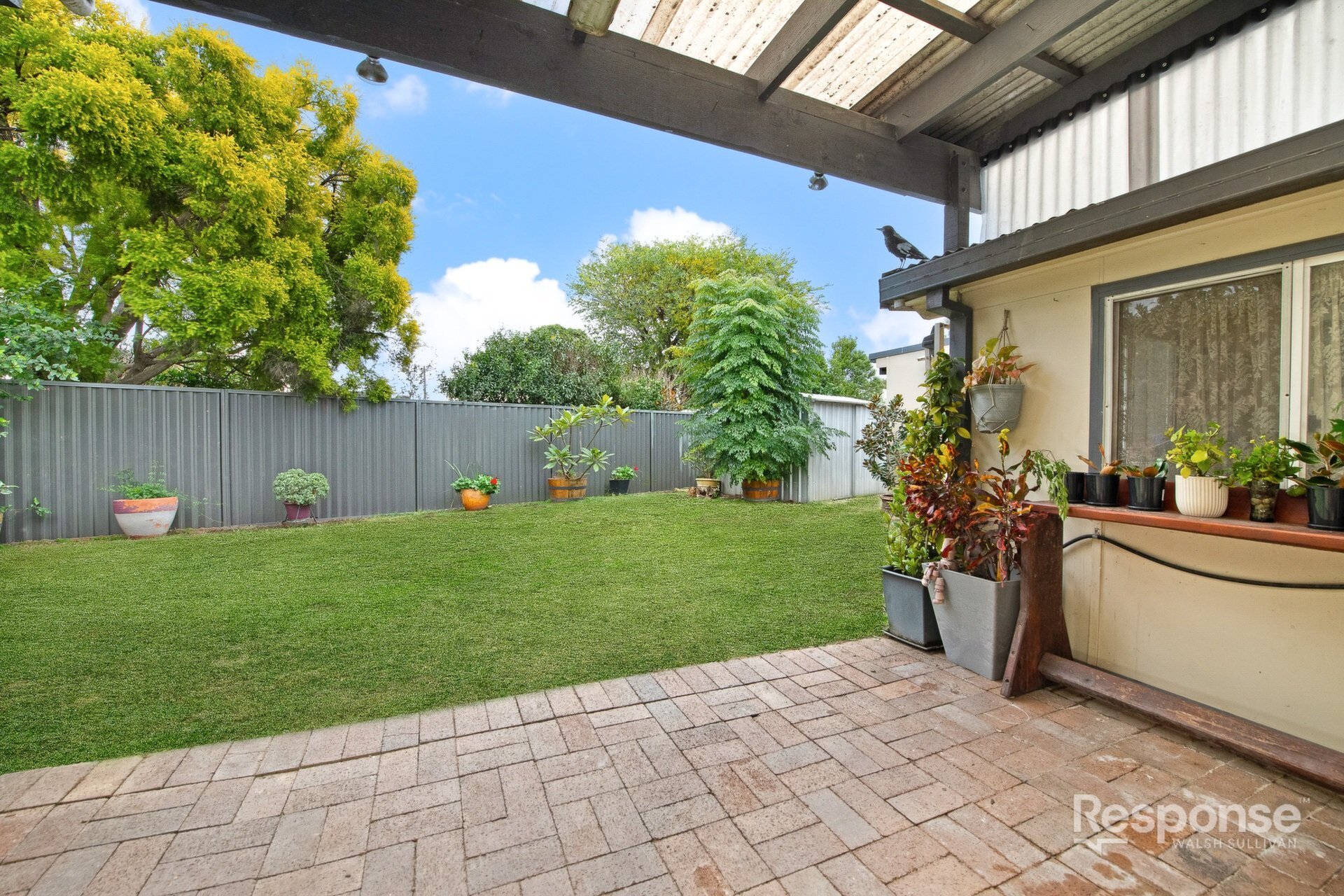 11 Lodge Avenue, Old Toongabbie Sold by ResponseRE Walsh Sullivan Baulkham Hills - image 1