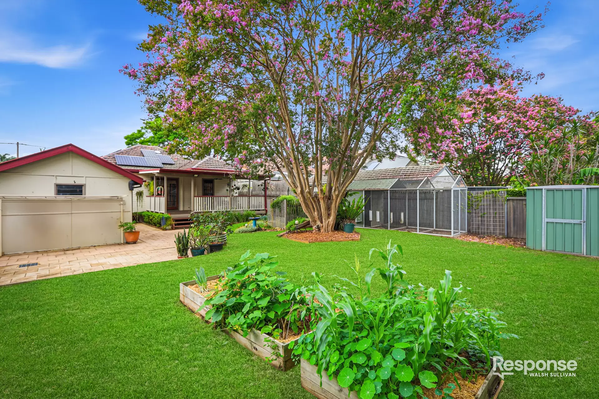15 Beaufort Street, Northmead Leased by ResponseRE Walsh Sullivan Baulkham Hills - image 1