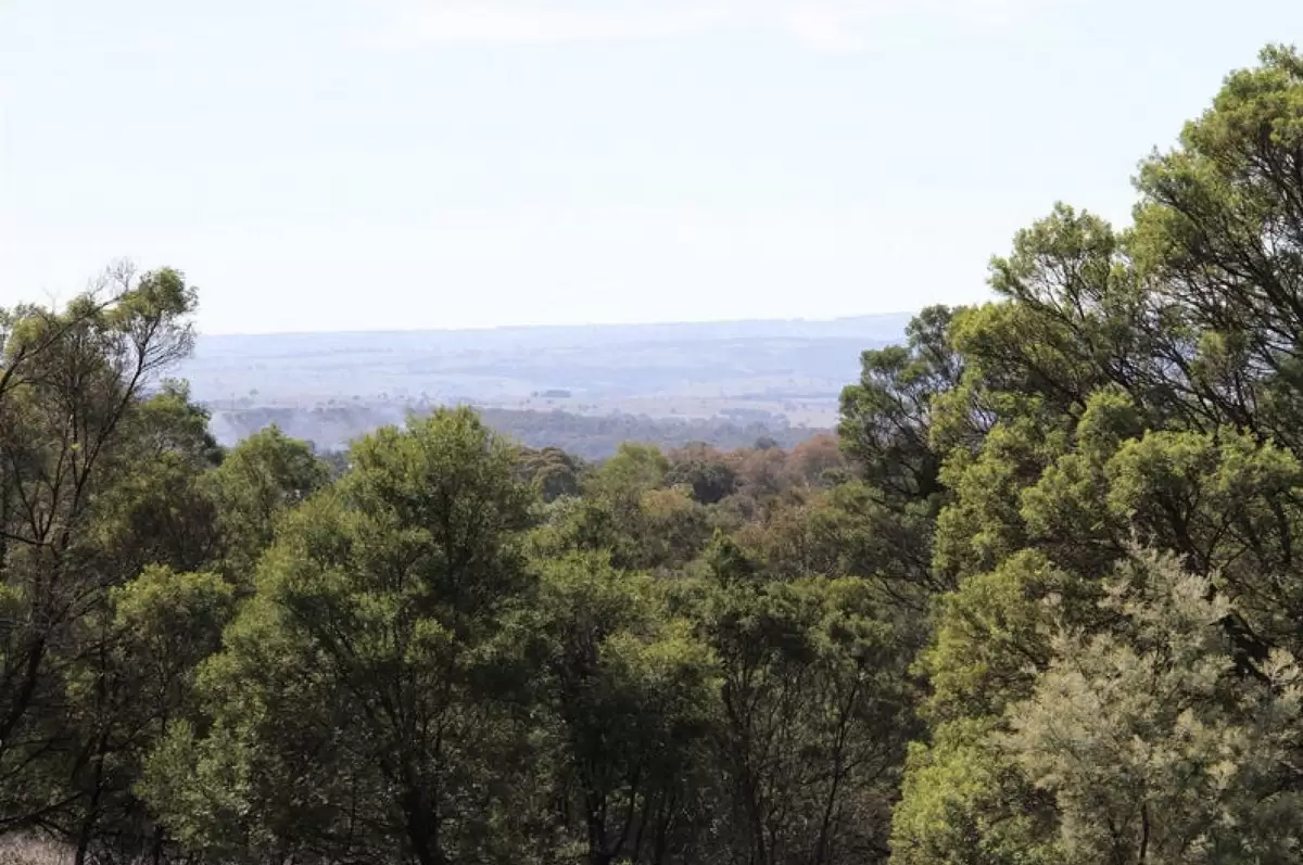 Lot 100,  Hume Highway, Lade Vale For Sale by ResponseRE - image 1